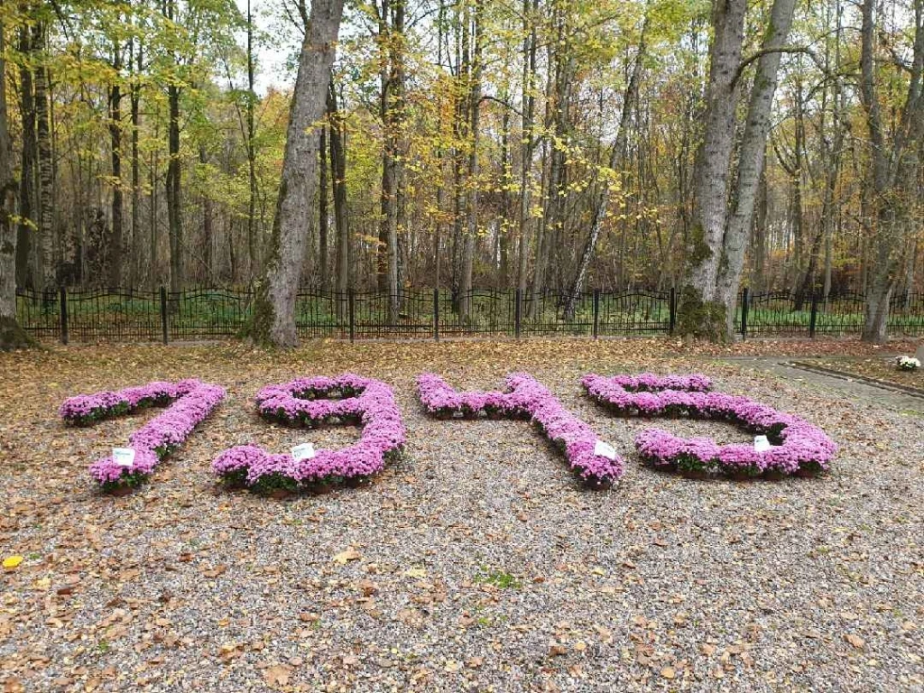 Źródło:UM w Wejherowie