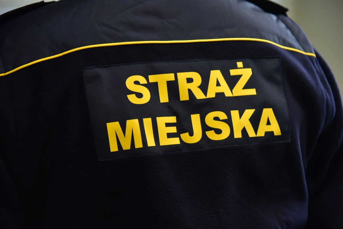 źródło: rumia.eu 