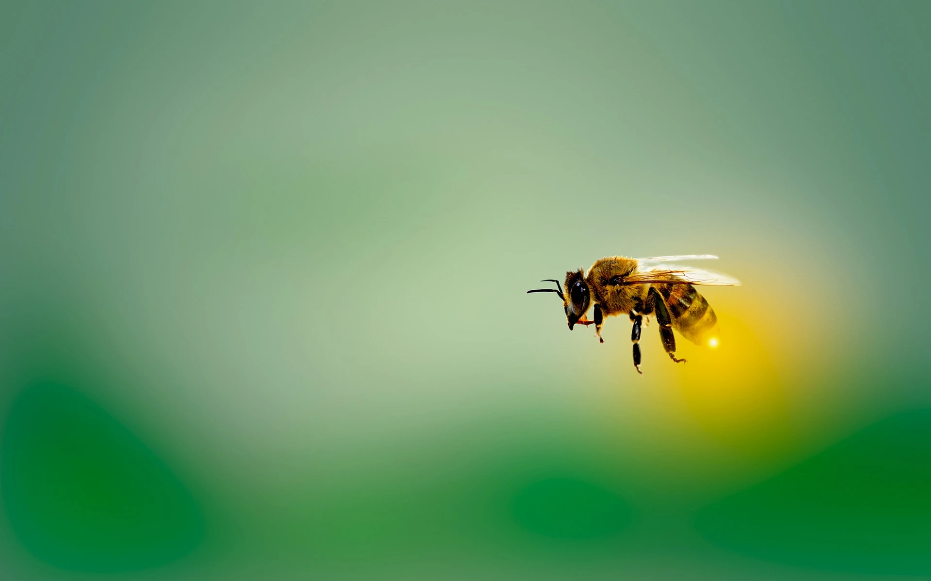 Fot. pixabay.com