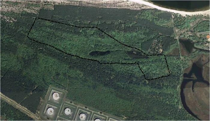 „Karasiowe jeziorka”