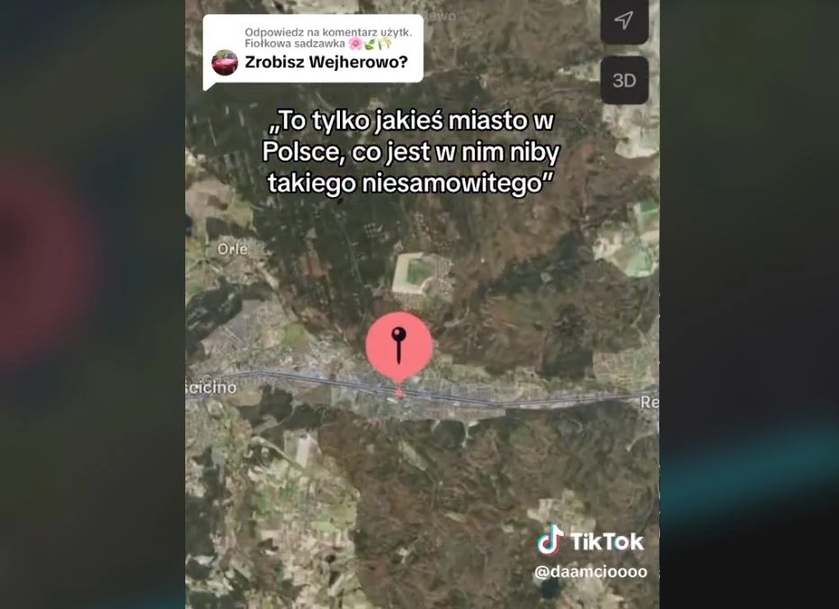 Fot. screen TikTOK