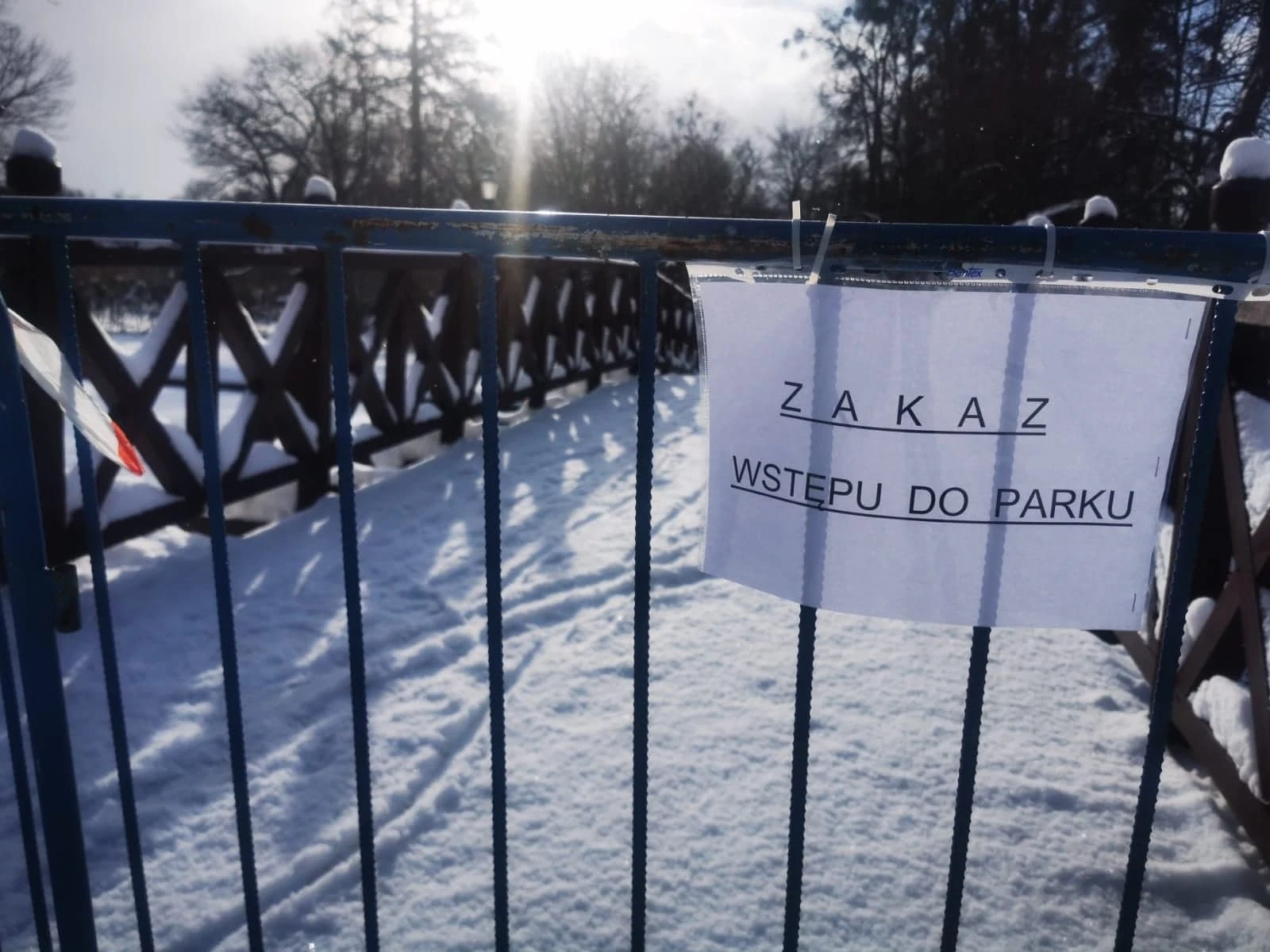 Fot. Mieszko Weltrowski/TTM