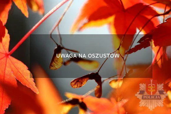 Uwaga na oszustów - kolejne przypadki