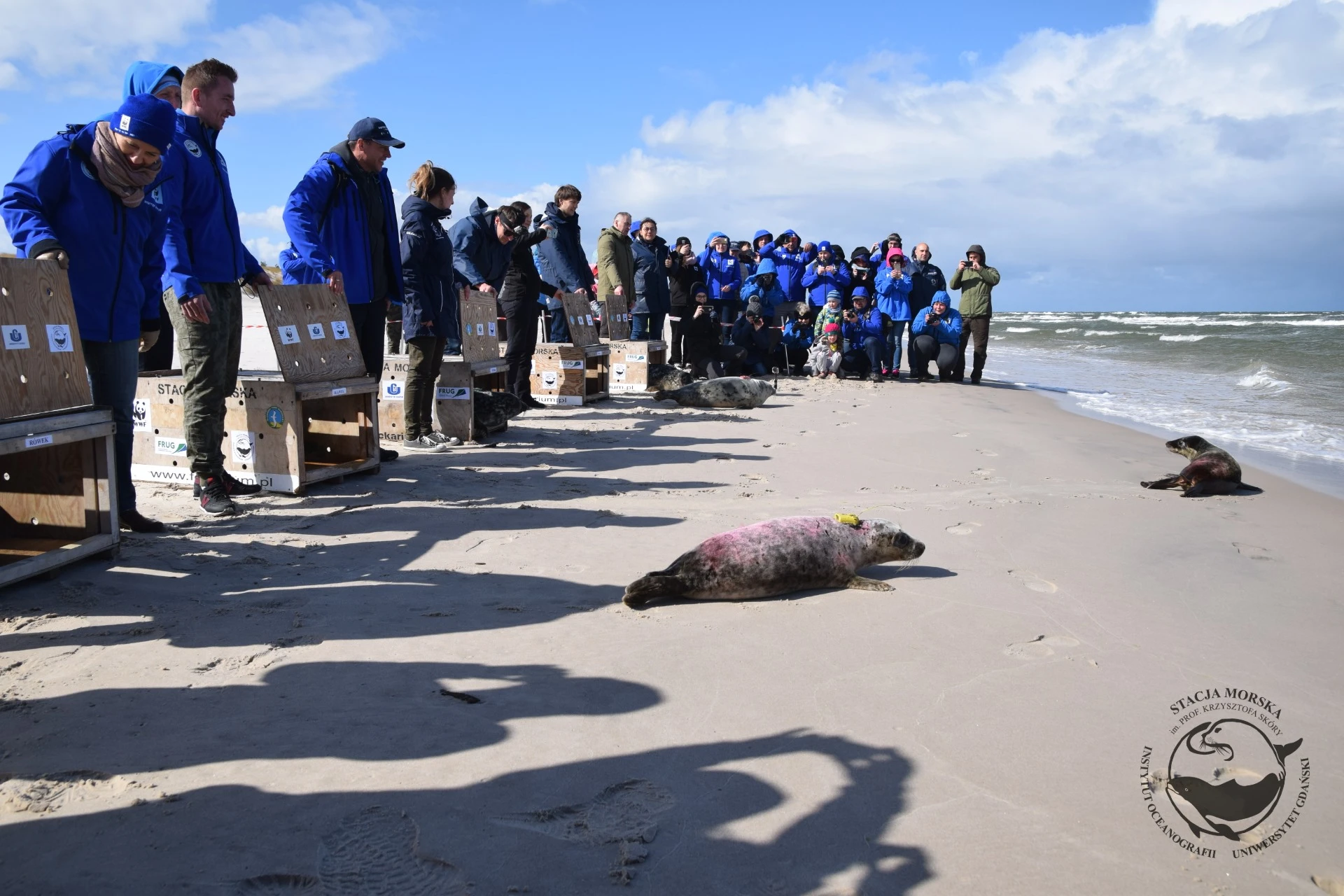 Fot. Stacja Morska im. Prof. Krzysztofa Skóry Instytutu Oceanografii Uniwersytetu Gdańskiego w Helu