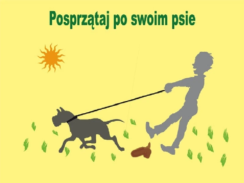 Posprzątaj po swoim psie!