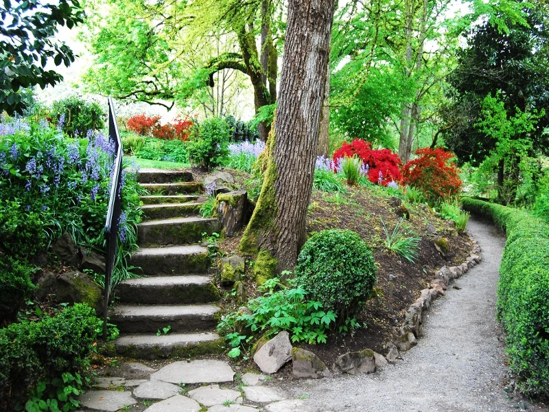 W Gdyni powstanie Ogród Botaniczny