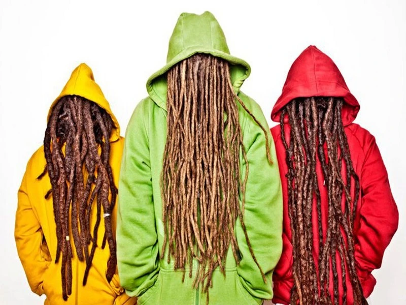 Reggae na Delfinaliach