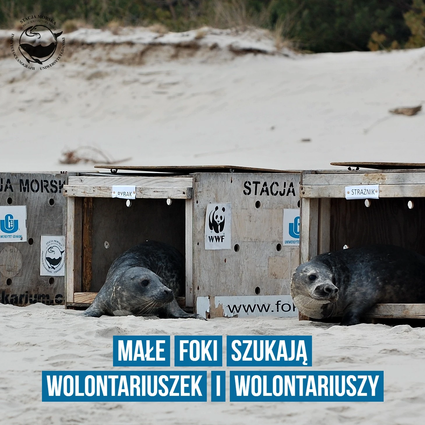 Foto: Stacja Morska w Helu