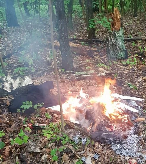 fot. Straż Miejska w Gdańsku 