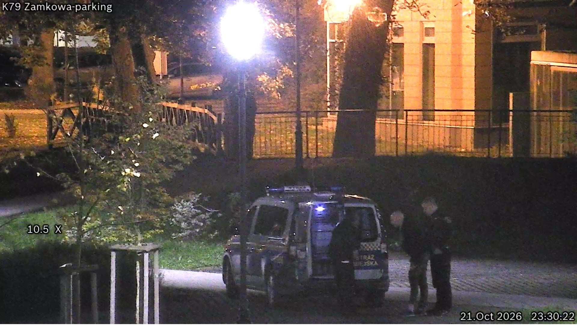Wyrzucał śmieci i szarpał za klamki samochodów. Wszystko zarejestrowała kamera