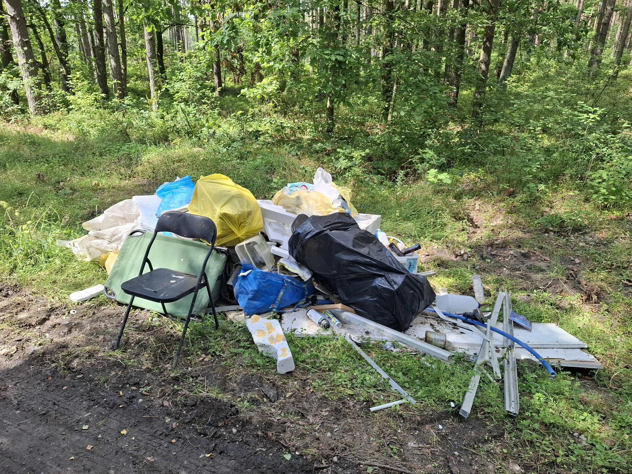 źródło: Nadleśnictwo Wejherowo