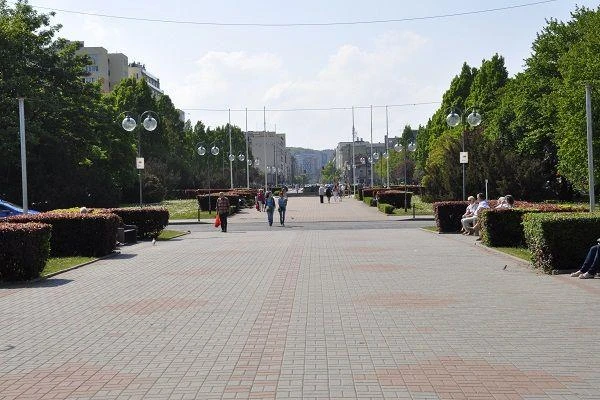 Zakaz parkowania w centrum Gdyni