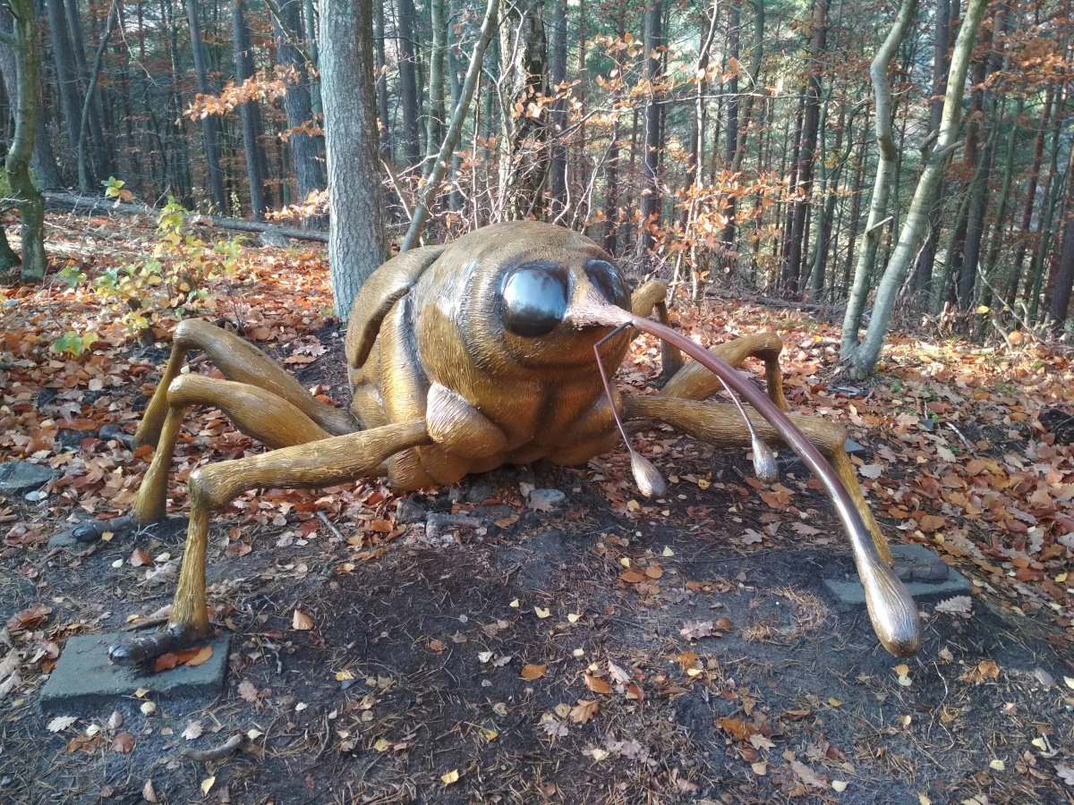 Źródło: UM Gdynia