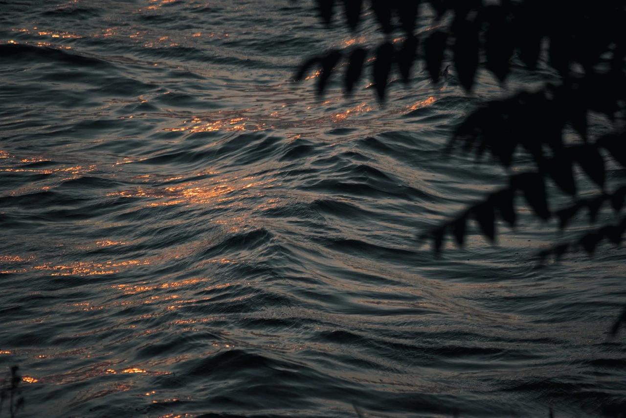 fot. pixabay.com