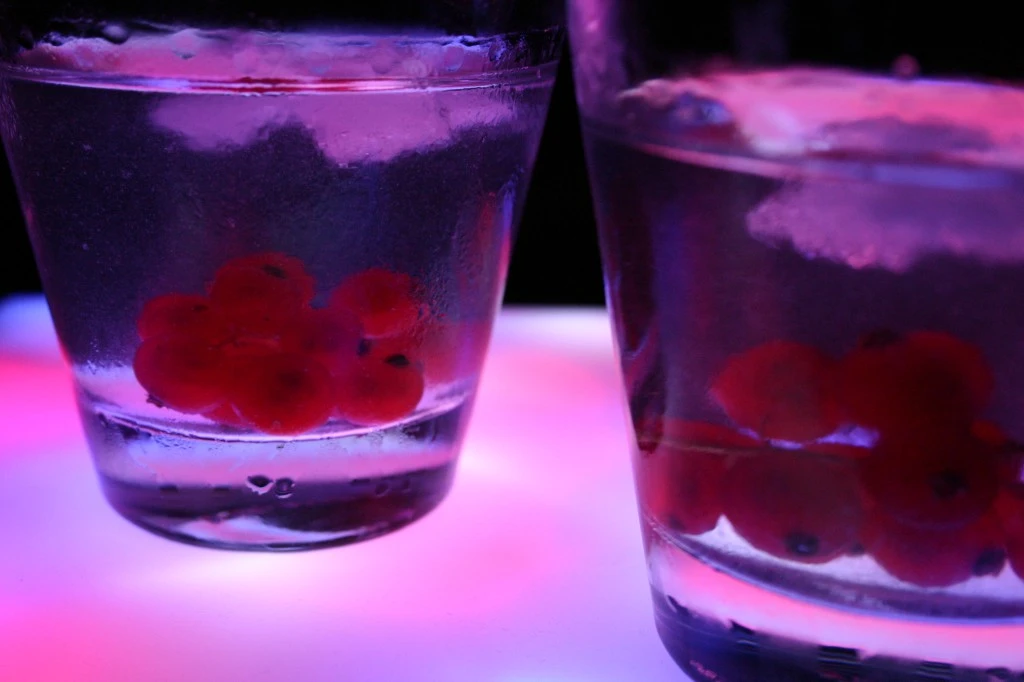 Ruszyła kampania "Nigdy nie jeżdżę po alkoholu"
