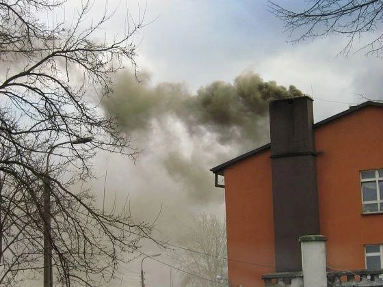 Powiat Pucki: Koniec z zatruwaniem środowiska. Strażnicy sprawdzą, czym Helanie palą w piecu
